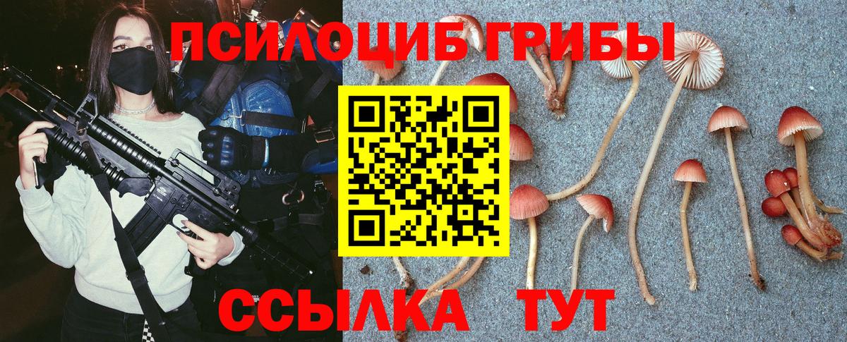 Первоуральск  Галлюциногенные грибы MAGIC MUSHROOMS  Вход с VPN 